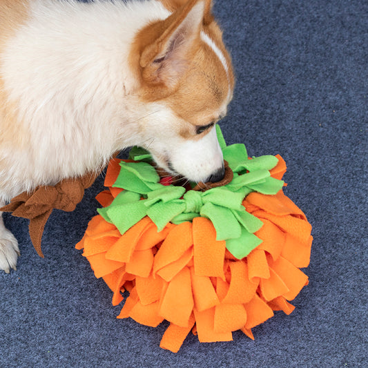 Pumpkin Snuffle Ball for Dogs