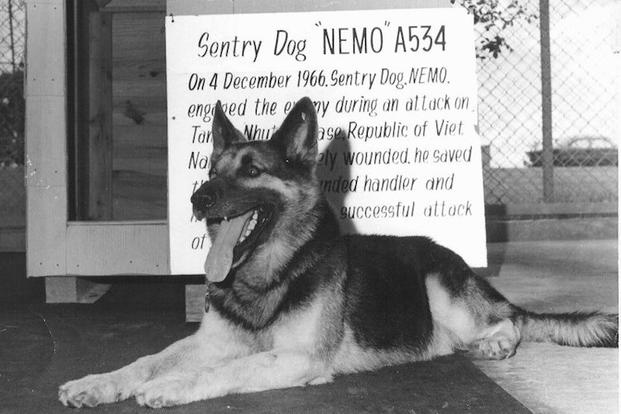dog lying beside sign describing his accomplishments as a soldier