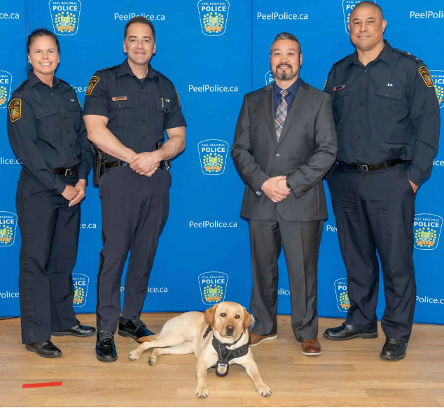 4 members of police stand with dog lying at their feet