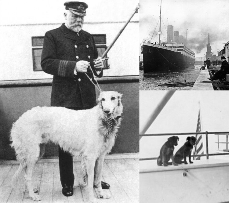 A sailor holds the leash of a dog with a picture of the titanic in the top right.  Two dogs sit on the deck of a ship in the bottom right.