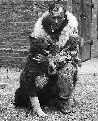 Black and white photo of Man in heavy fur jacket kneels beside sled dog with black fur.