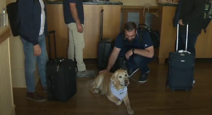 dog lies on hotel floor while a guest kneels and pets him and other guests watch