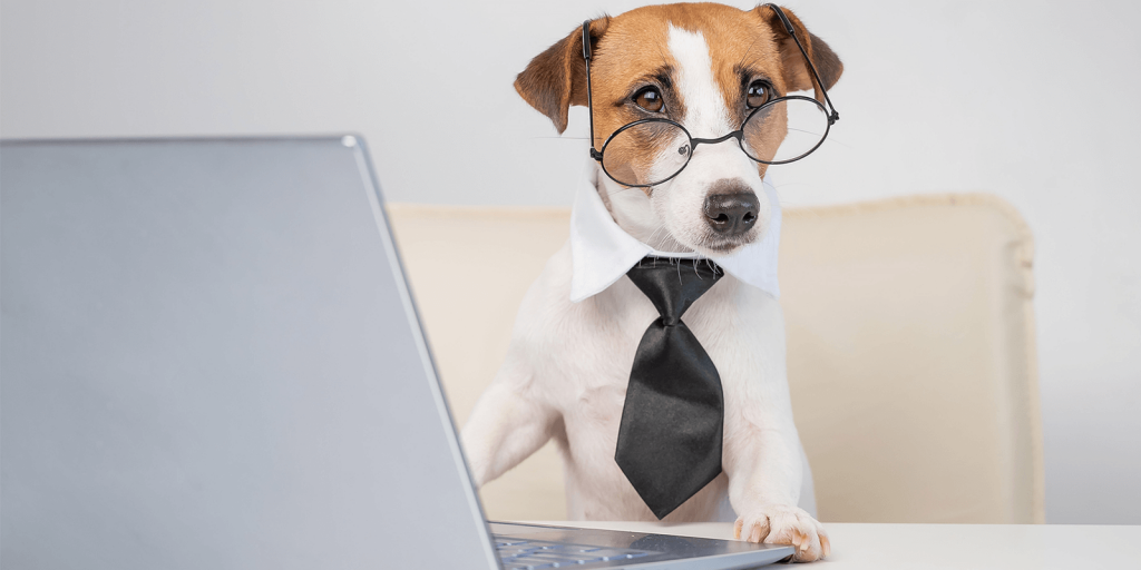 A small dog wearing glasses and a tie sits behind a desk