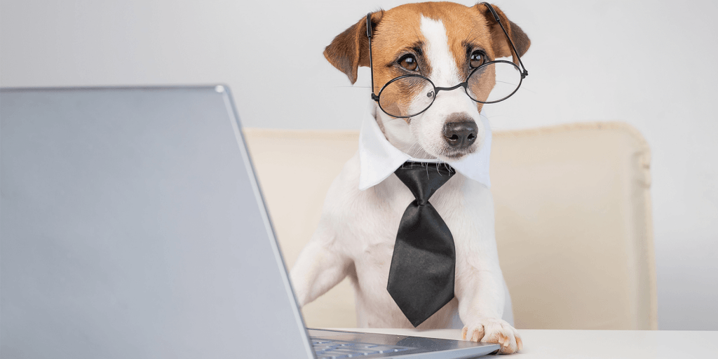 Bring Your Dog To Work Day The Pros And Cons Furball Central